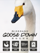 /GIORDANO 2015